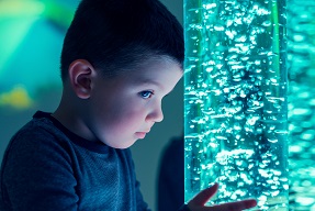 Little boy looking at a sensory bubble lamp